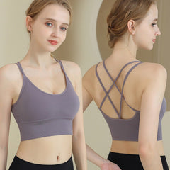 Padded Shockproof Sports Bra